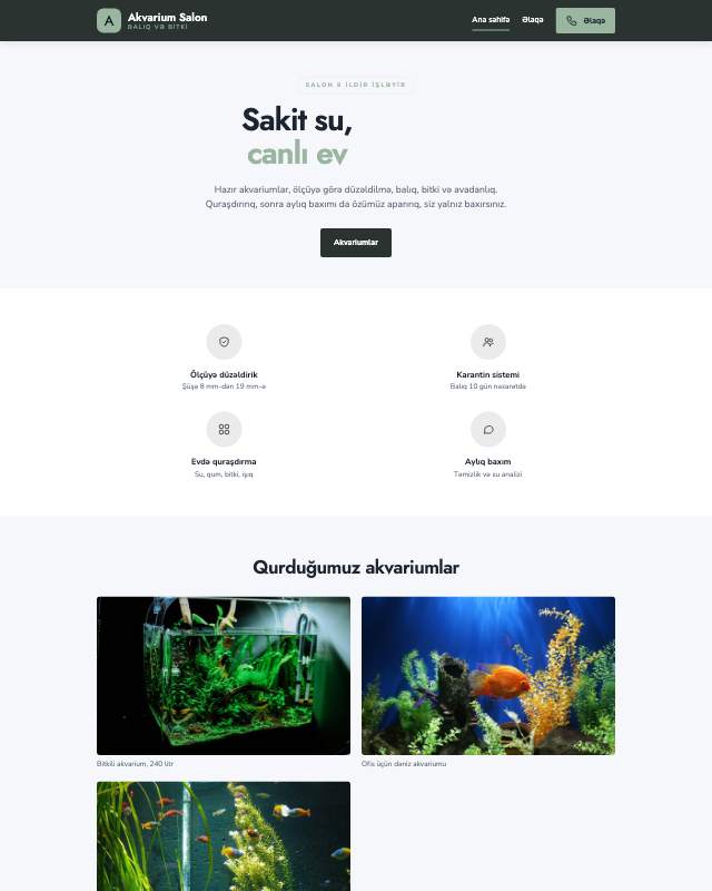 Akvarium · Sakit veb sayt şablonunun ekran görüntüsü
