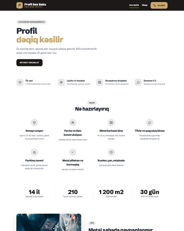 Profil istehsalı · Premium veb sayt şablonunun ekran görüntüsü